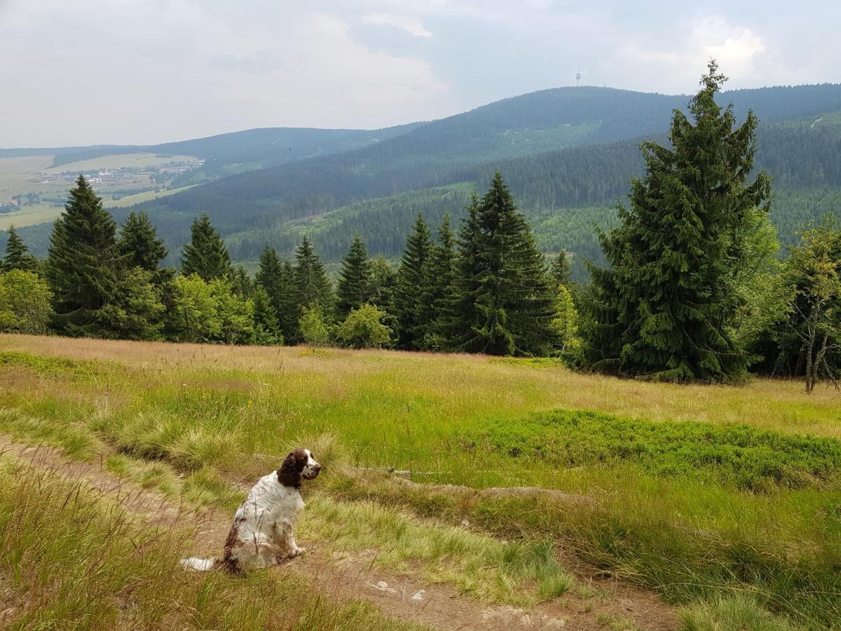 Ferienwohnung Grenzblick Oberwiesenthal Kültér fotó